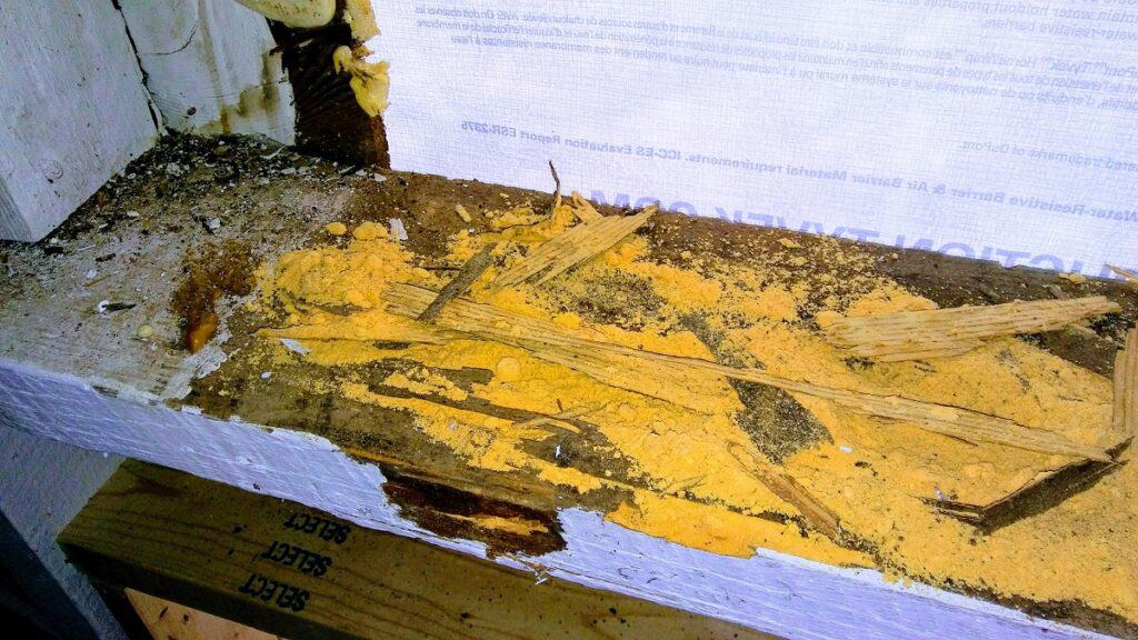 dry rotted ledger board