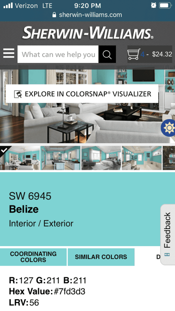 Sherwin Williams Belize digital paint chip