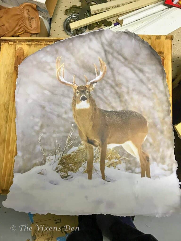 color print of a whitetail buck in snow