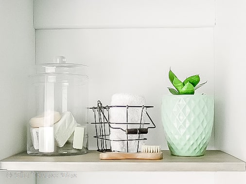 linen cabinet shelf with glass jar and plant