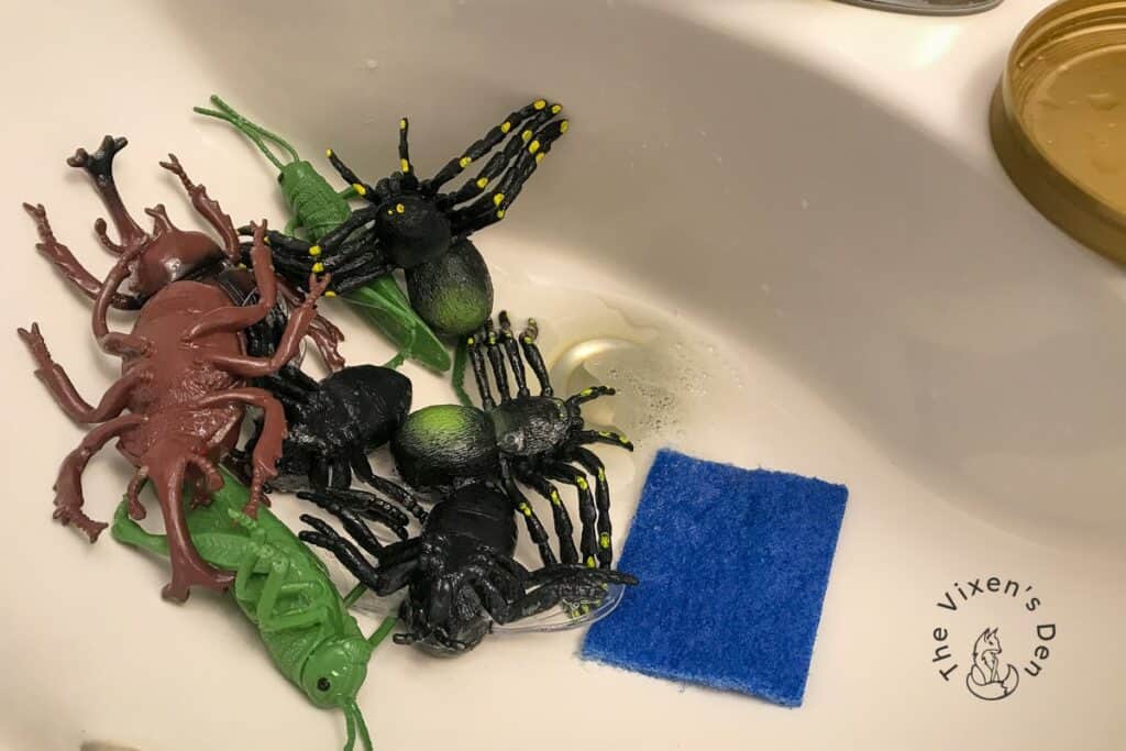 process - cleaning bugs with blue scrubber and dirty water