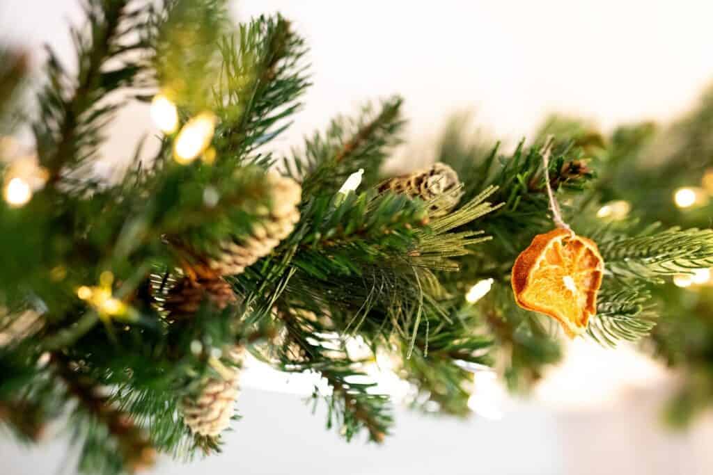 Dried Clementine Orange ornament on a pine garland