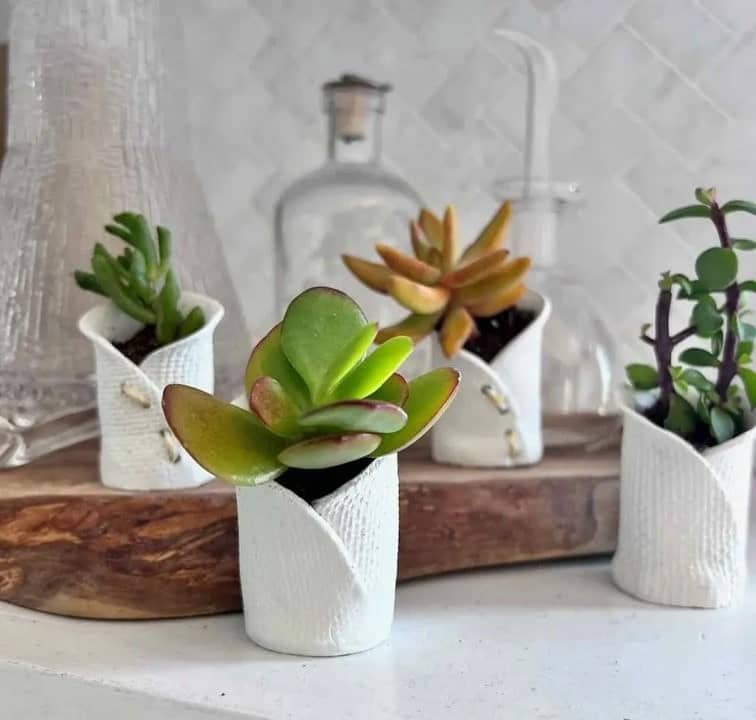 Mini Succulent Pots - South House Designs-min