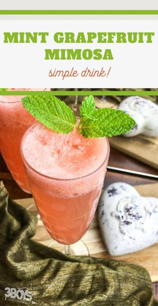 Alcohol-Free-Mint-Grapefruit-Mimosa-recipe-3 Boys and A Dog-min