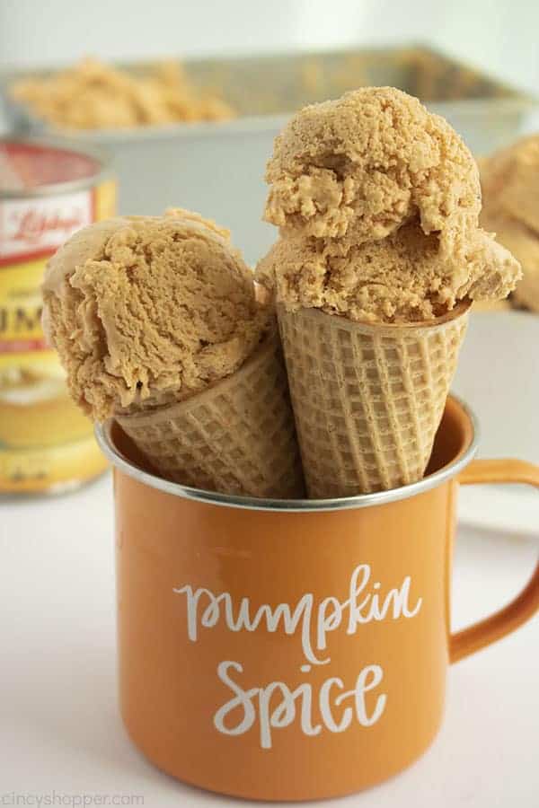 Pumpkin-Ice-Cream-in a cup