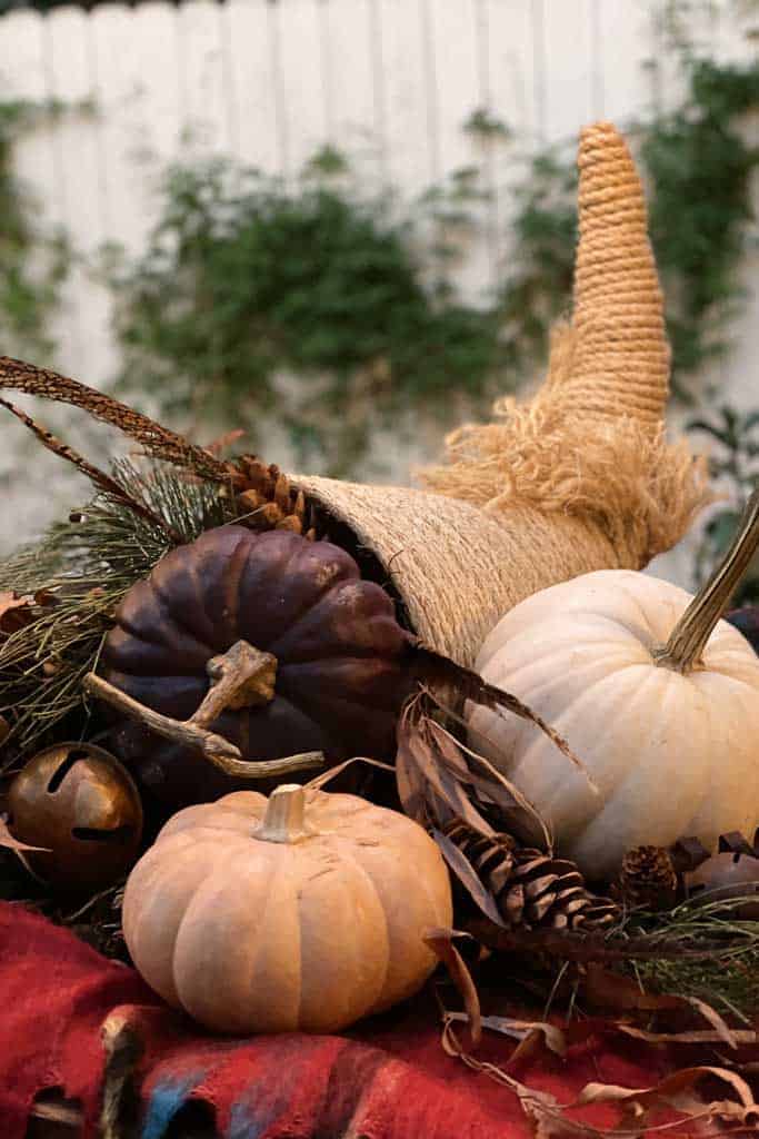 An arrangement of pumpkins and corn on a table.