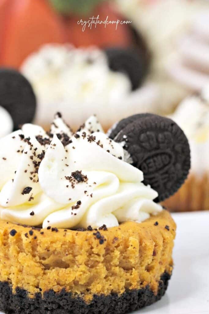 Pumpkin oreo cheesecakes with whipped cream and oreos.