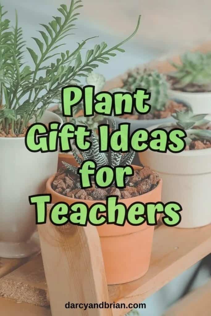 Text overlay 'plant gift ideas for teachers' on image featuring various potted plants on a wooden surface, suggesting gardening-themed gifts.