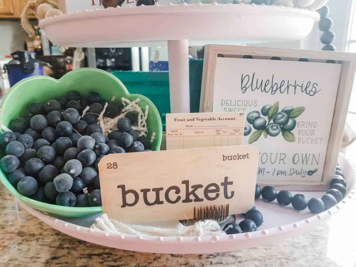 A display featuring blueberries in a green bowl, a "bucket" sign with number 28, and a framed sign with details about blueberry picking times.