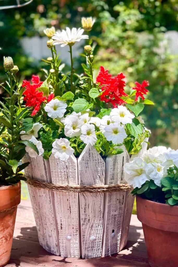 A white wooden planter with red and white flowers, surrounded by terracotta pots with more white flowers, placed on a wooden surface outdoors.