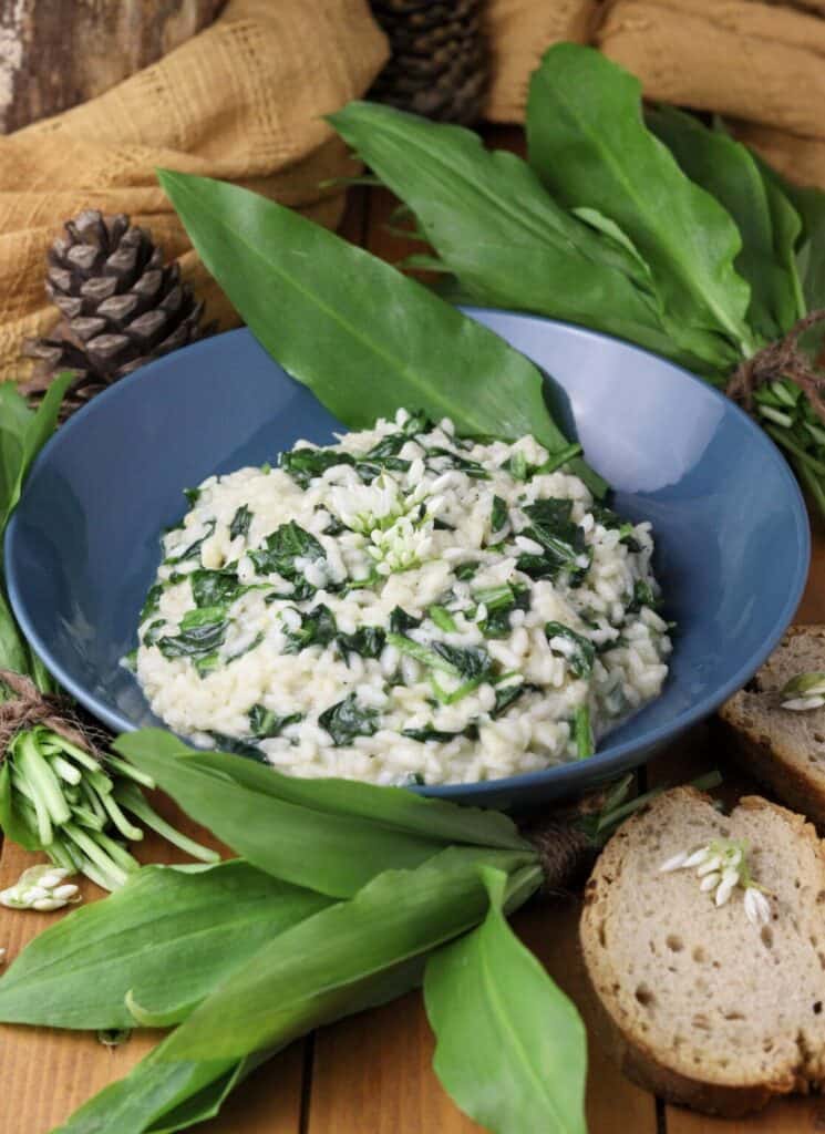 A bowl of creamy risotto with greens, garnished with fresh leaves, placed on a wooden surface with bread slices and pinecones.