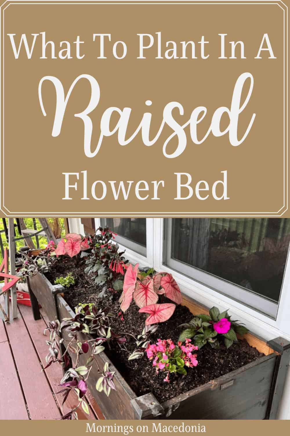 Raised flower bed with various plants and flowers near a window. The sign above provides tips on what to plant in a raised flower bed.