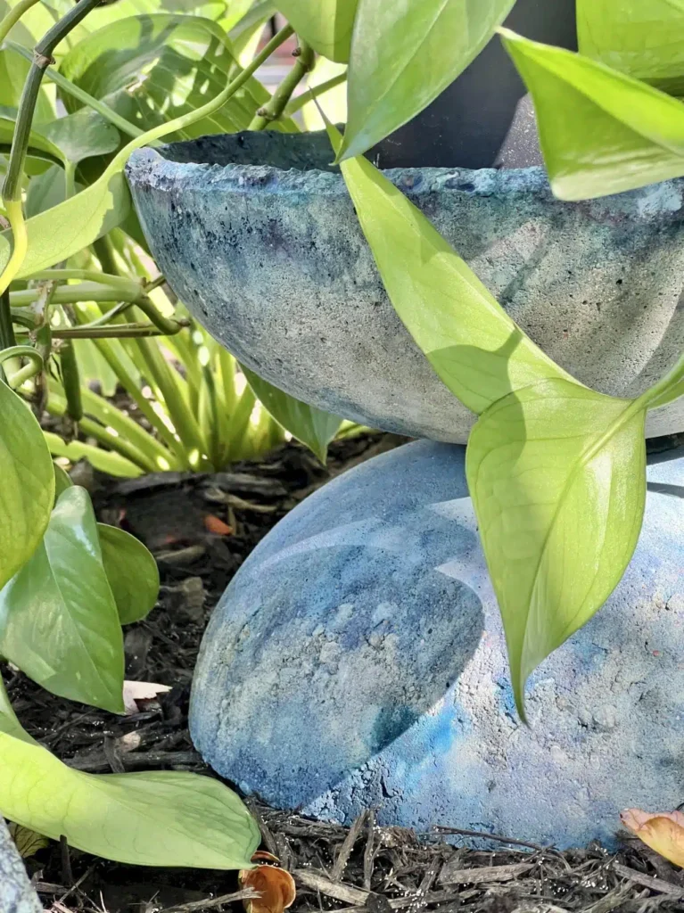 A close-up of green leaves growing around a weathered, double-layered blue garden ornament on a bed of soil.