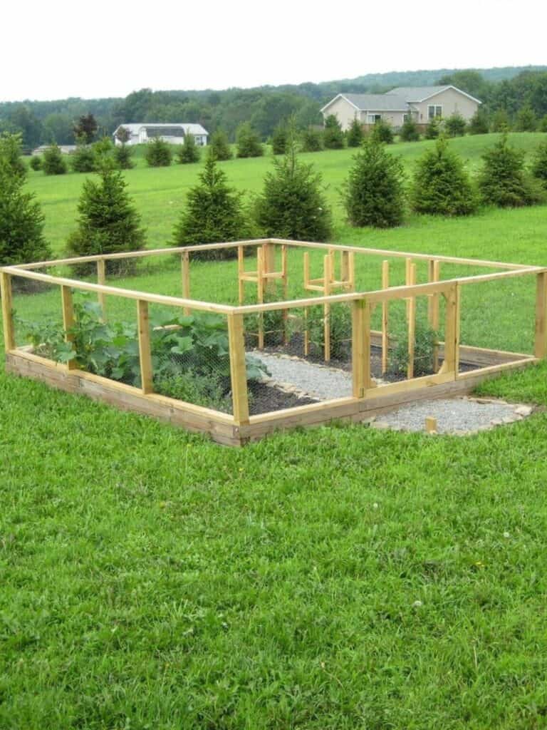 A small fenced garden bed with young plants grows in a grassy yard, surrounded by trees and houses in the background.
