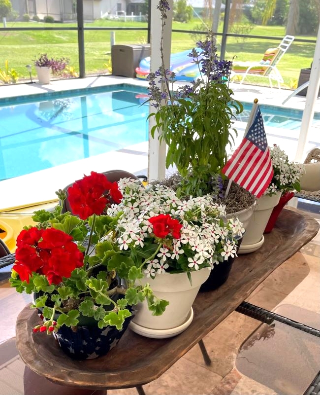 Several potted plants, including red and white flowers, are arranged on a tray beside a pool, with a small American flag placed among the pots.