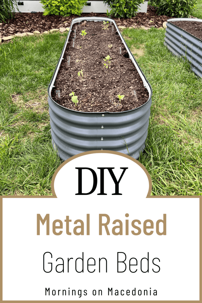 A metal raised garden bed with young plants growing in soil, surrounded by grass, with a sign reading "DIY Metal Raised Garden Beds.