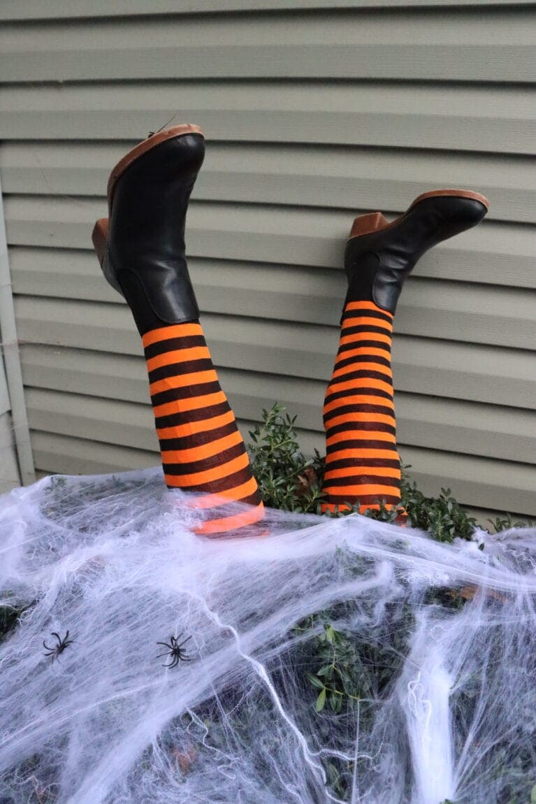 A pair of legs wearing black shoes and orange-and-black striped tights stick out of bushes covered in fake spider webs and plastic spiders, resembling a Halloween witch decoration.