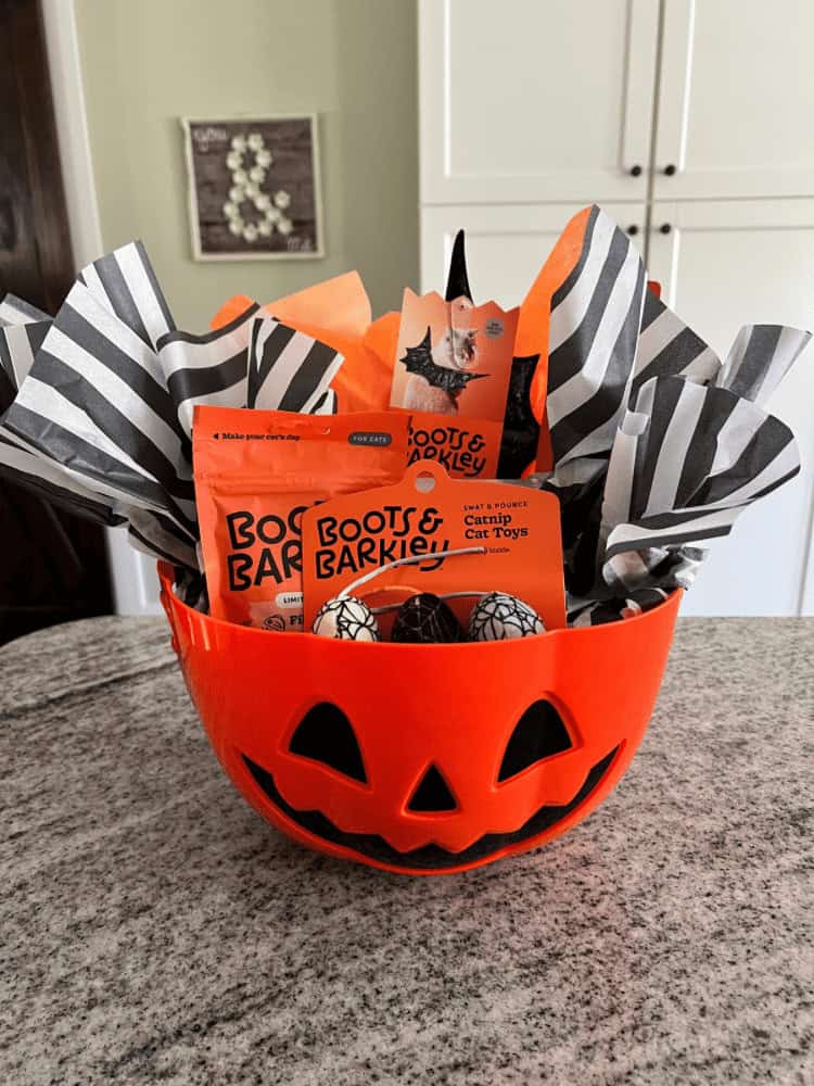 A plastic jack-o'-lantern bucket filled with black-and-white tissue paper, cat treats, cat toys, and Halloween-themed items sits on a granite countertop.