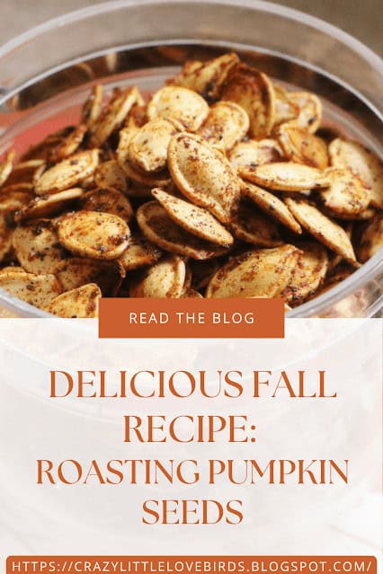 A bowl of seasoned, roasted pumpkin seeds, with text promoting a fall recipe blog post about roasting pumpkin seeds.
